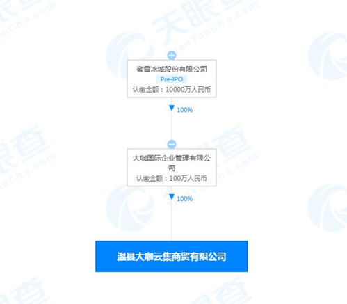 蜜雪冰城新公司“大咖云集” 互聯(lián)網(wǎng)銷售的破局與想象